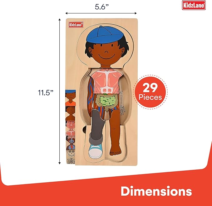 Kidzlane African American Boy Wooden My Body Puzzle for Toddlers and Kids - 29 Piece Girls Anatomy Puzzle - Anatomy for Kids, Skeleton Toys for Ages 3 Plus