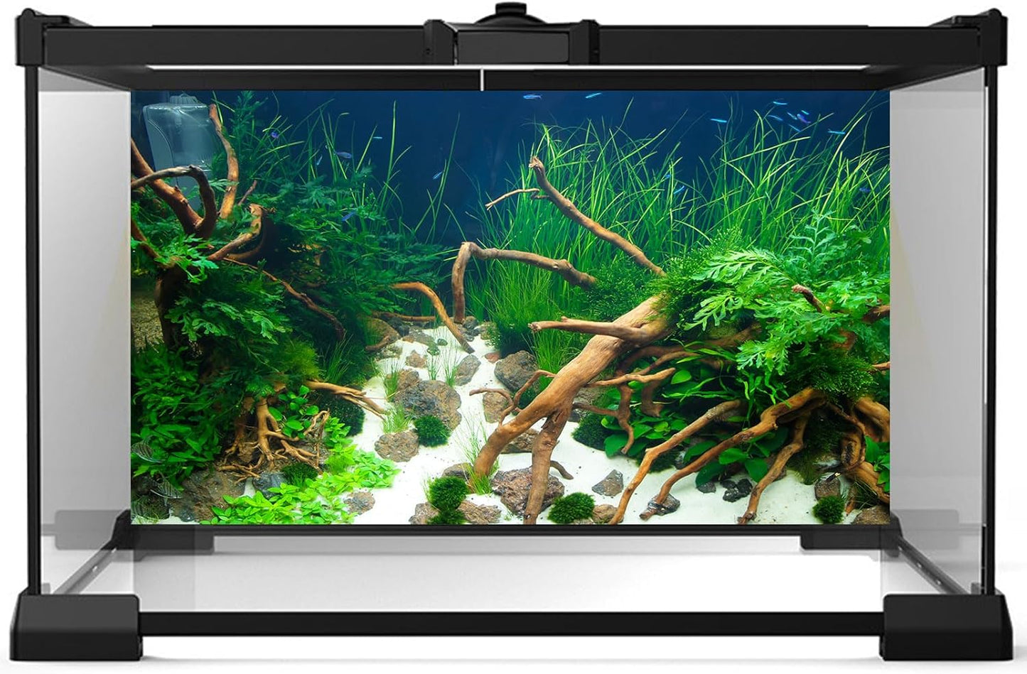 Aquarium Background Various Underwater Grass Plants Fish Tank Background Vivid Green Aquatic Plants Terrarium Backdrop Stone River Bed Dead Wood Yellow Stone Fish Tank Wallpaper Poster 48x24in