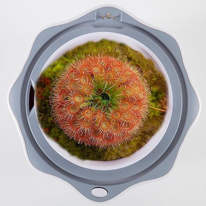Venus Fly Trap Pot,Smart Planter with Timer and Fan,Small Terrarium Kit with Light and Drainage Hole for Carnivorous Plant,Succulent,Sundew Moss,Cactus,Pitcher(No Plant)