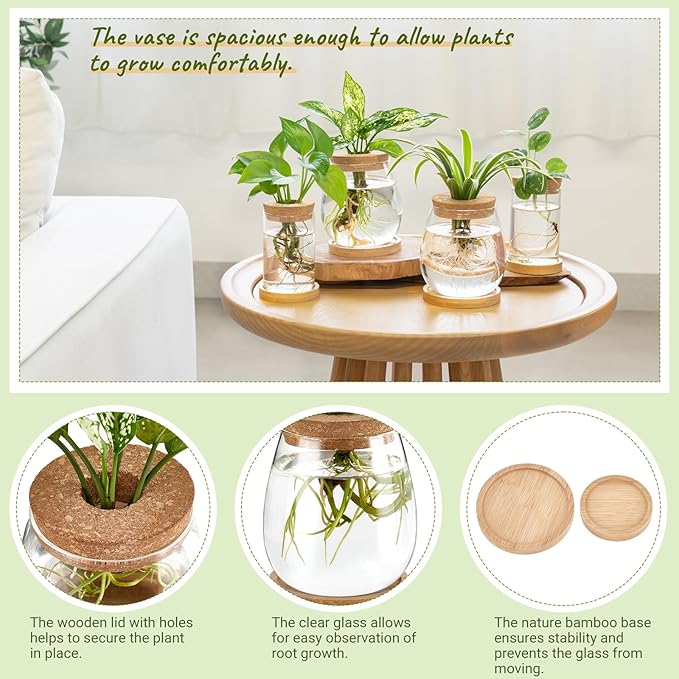 Dahey 4 Pcs Plant Propagation Stations Desktop Propagated Plant Jars Terrarium Glass Planters with Wooden Base and Lid Hydroponic Vase for Indoor Plants Tabletop Home Office Decor