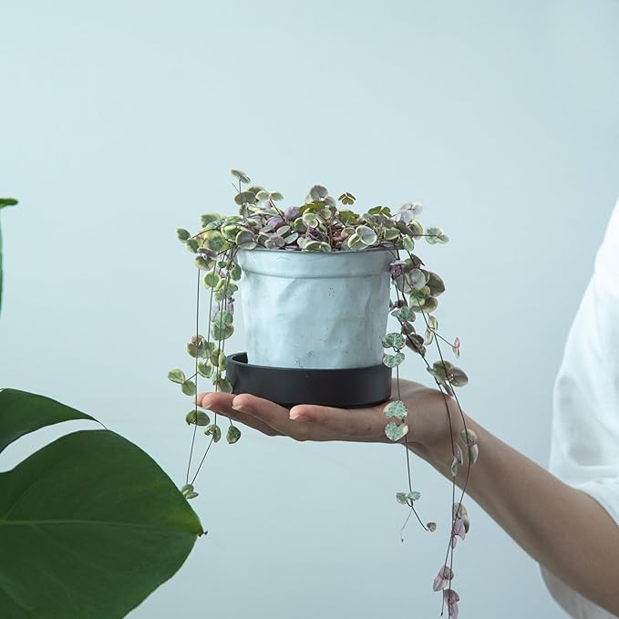 Phoenix Vine 4 Inch Plastic Plant Saucer Water Drip Tray, Heavy Sturdy Round Plant Drainage Tray for Indoors Outdoor, Matte Black, 21-TY-4B-1