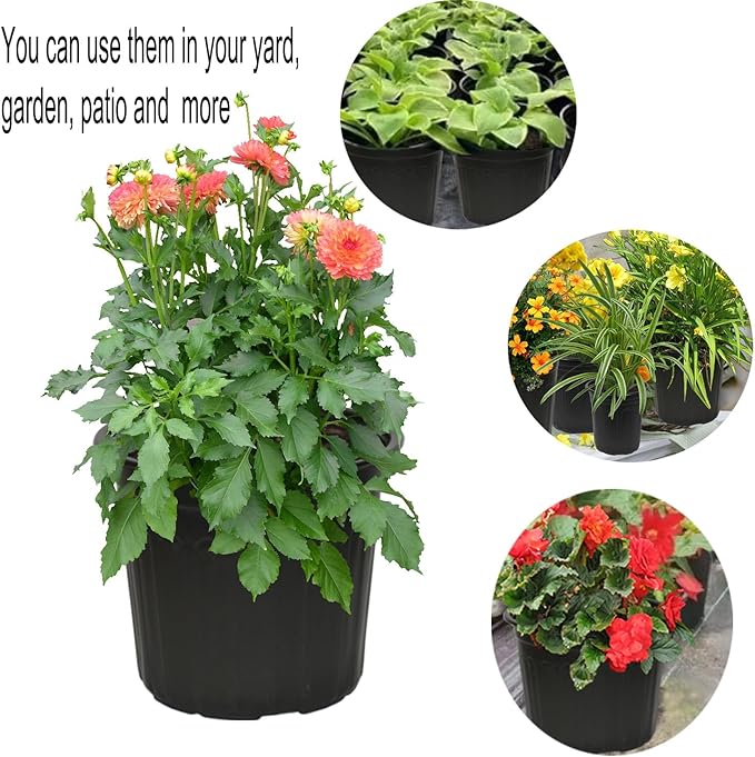 50-Pack 2.5 Gallon Flexible Plastic Plant Pots,Thickened Soft Seed Starting Container for Indoor Outdoor Plants, Seedlings, Vegetables, Succulents and Cuttings