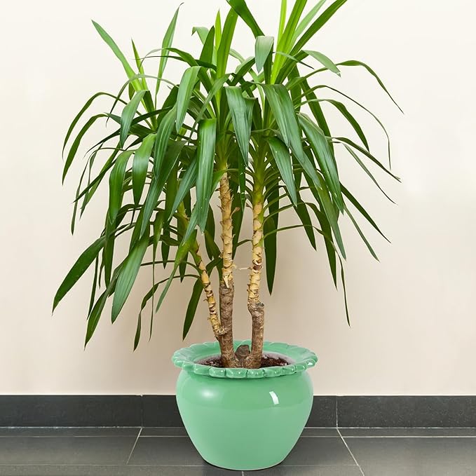 Large African Violet Pots Ceramic Planters for Indoor Plants 10.5in Self-Watering Terracotta Planter Green Dolomite Clay Morden Decor Ceramic Flower Pot for Home Office Decoration