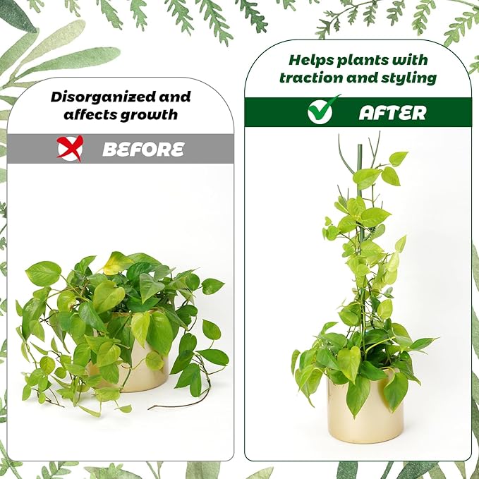 8 Pack Monstera Plant Support Stakes, 27.5inch Detachable Twig Plant Support Stakes with 12 Orchid Clips, 8 Twist Clips 65ft Twist Ties - Ideal Plant Stakes for Indoor Outdoor Plants