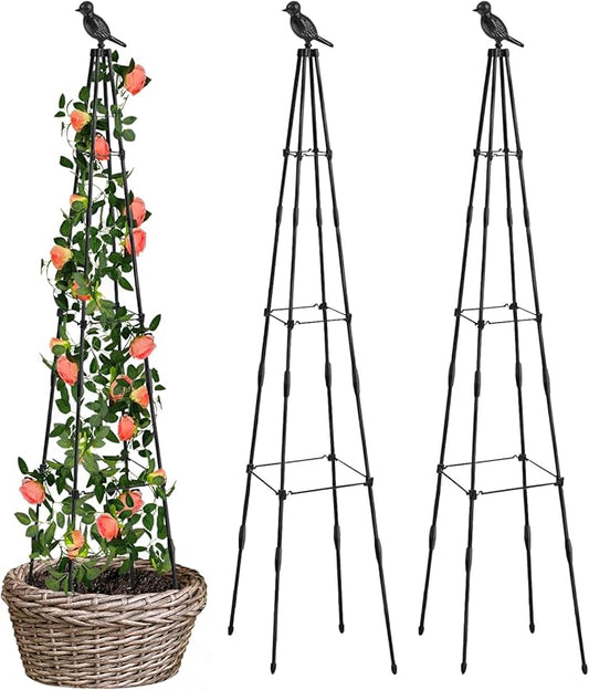 Trellis for Climbing Plants Outdoor, 2 Pack Plant Trellis Support for Climbing Vine, Plant Support Tower Cages Plastic Coated Metal Pipe Supports for Outdoor Indoor,Tomato cage (Black, 5 FT)