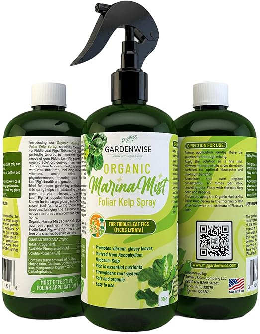 Organic Marina Mist Foliar Spray for Fiddle Leaf Fig and Other Ficus Trees | Micro Nutrients for Vital Health | Gentle Formula | Liquid Plant Food | Quick Results | Ready to Use (8 OZ)