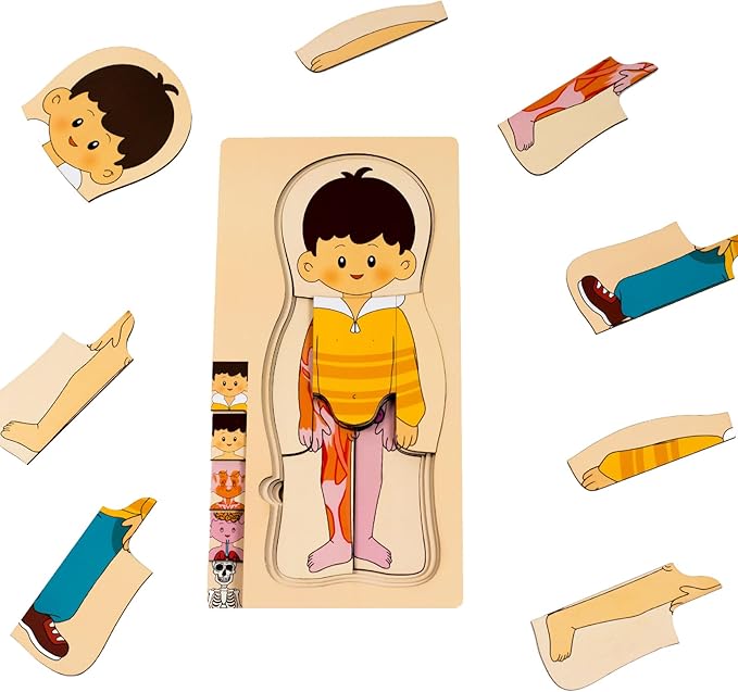 My Body Parts Puzzle for Toddlers Girls Boys Wooden Anatomy Puzzle 3-8 Years Old Preschool Learning Game Human Body Skeleton Toys