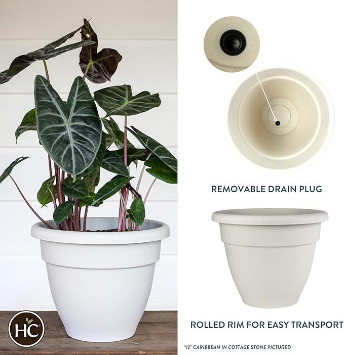 The HC Companies 6 Inch Caribbean Planter - Lightweight Indoor Outdoor Plastic Plant Pot for Herbs and Flowers, Cottage Stone