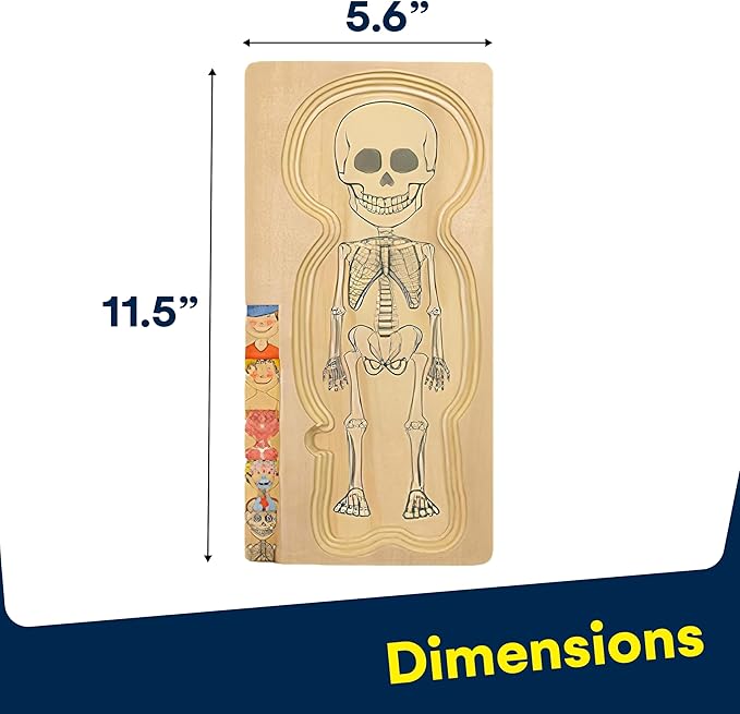 Kidzlane Boy Wooden My Body Puzzle for Toddlers & Kids - 29 Piece Boys Anatomy Puzzle Kid Play Set - Anatomy for Kids, Skeleton Toys for Children Ages 3 Plus