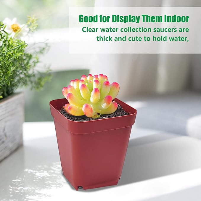 Square Plastic Nursery Pot 3" 120 Pcs Deep Succulent Pots Small Flower Planter Seeds Starter Pots with Drainage (Green,Black,Red 40pcs Each,2.7Inches)