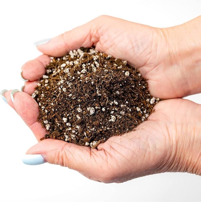 Organic Potting Soil for Tomato Plants - 1 Quart - Hand-Mixed with Natural Ingredients for Optimal Growth and Nutrient Retention