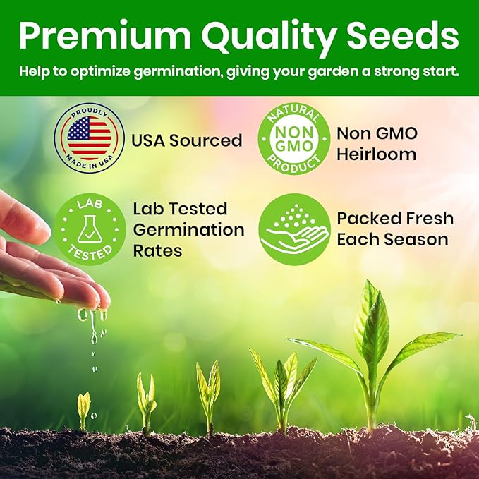 NatureZ Edge Zinnia Seeds for 2025 Planting Outdoors, Over 550 Flower Seeds, 4g, Non GMO Made in USA, Bulk Semillas De Flores para Sembrar, Dahlia Mix, Easy to Grow Zinnia Seed Mix