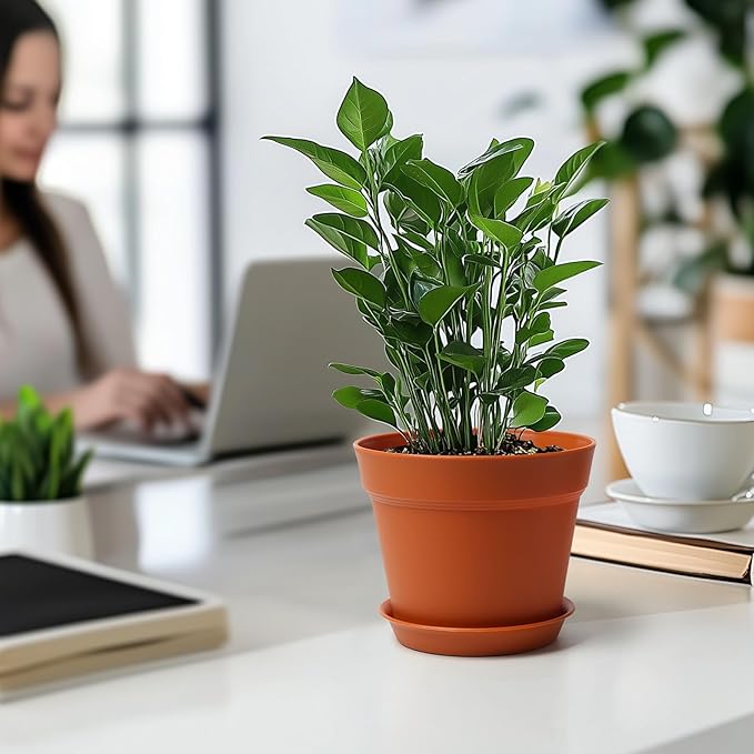 T4U 7.5 Inch Plant Pots 12-Pack - Small Plastic Planter with Drainage Hole and Saucer, Decorative Nursery Pot Bulk for African Violet, Succulent and All House Plants Indoor (Terracotta)