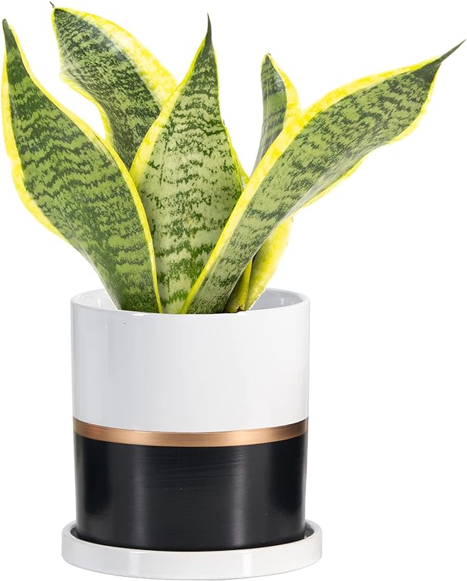Ekirlin 6 inch Plant Pot - Ceramic Flower Planters Indoor - Modern Succulents Containers with Drain Hole Saucer, Decorate Home, Office & Outdoor (Black)