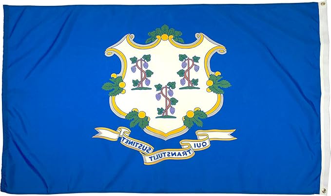 FlagSource Connecticut Nylon State Flag, Made in the USA, 5x8'