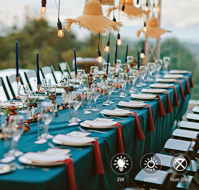 S14 Replacement LED Light Bulbs, Shatterproof & Waterproof 2W S14 LED Bulbs, Outdoor String Lights , E26 Base Patio Edison LED Light Bulbs, Warm White 2200K Plastic 150ML Non-Dimmable 48 Pack