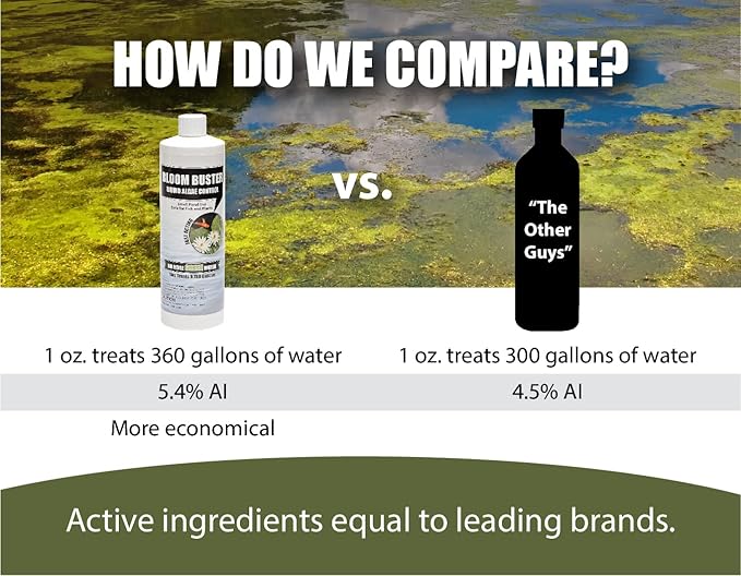 Bloom Buster Pond Algae Control - 16oz - Fast Acting Algaecide, Use in Fountains & Outdoor Ponds Containing Koi & Other Fish - EPA Registered