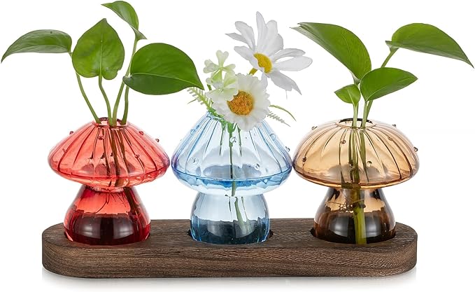 Glasseam Mushroom Plant Propagation Station: Glass Plant Terrarium Jar with Wood Stand Unique Hydroponic Planters for Indoor Plants Cute Propagation Vase for Plant Lovers Home Office Decor 3Pcs