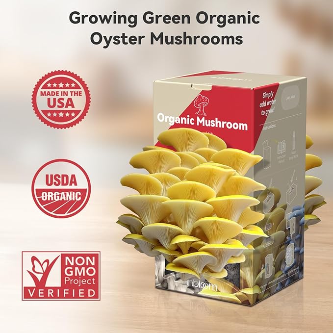 inbloom Organic Golden Oyster Mushroom Growing Kit with Spray, Harvest Fresh Mushrooms at Home, Beginner Friendly & Easy to Use, Unique Gardening Gift for Holiday, Handmade in New Jersey, USA