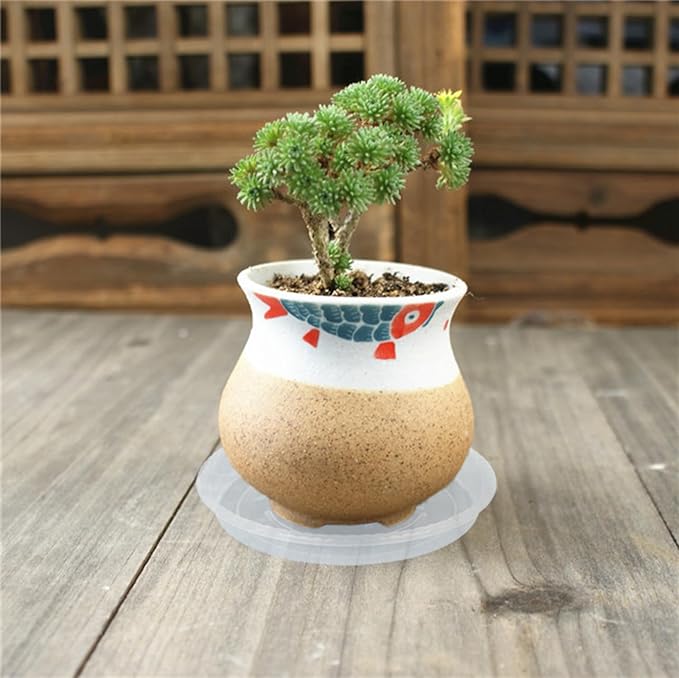 Plant Saucer 6 Pack of 4 6 8 10 12 14 16 inch, Clear Plastic Flower Plant Pot Saucer, Heavy Duty Plant Drip Trays Saucers for Indoor, Plant Water Tray for Planters (4", Clear)