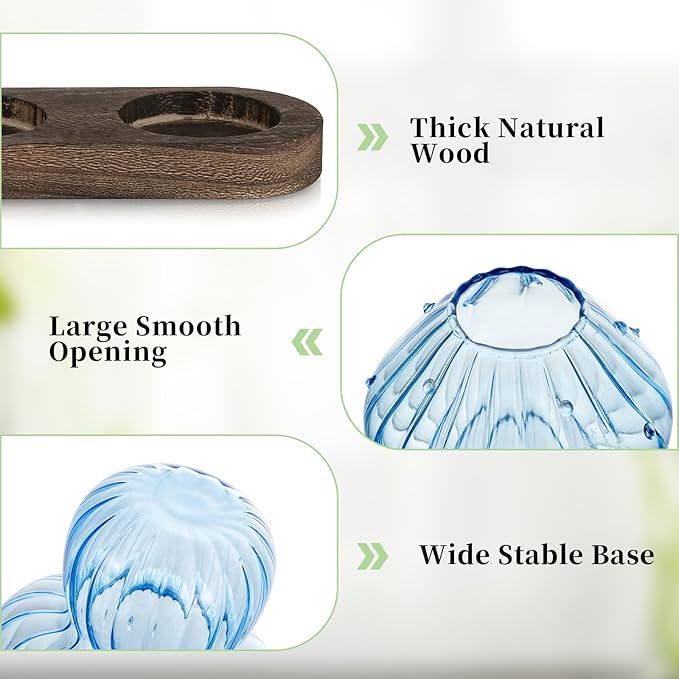 Glasseam Mushroom Plant Propagation Stations: Glass Plant Terrarium Jar with Wood Stand Unique Hydroponic Planters for Indoor Plants Cute Propagation Vase for Plant Lovers Home Office Decor 5Pcs