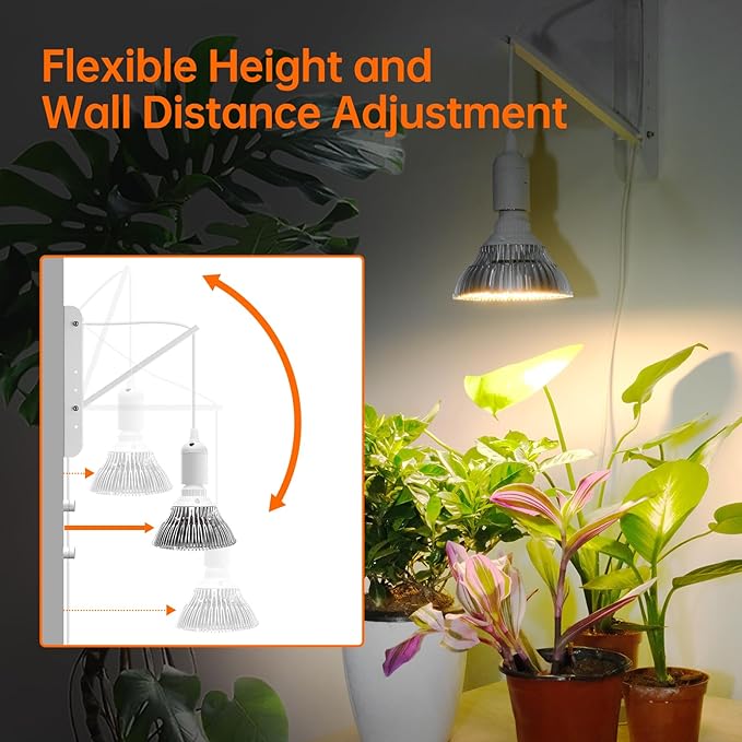 Hanging Grow Light with Wall Mounted Bracket, 25W, 3000K Led Plant Light Bulb, Full Spectrum Pendant Grow Light with Timer, 16.4 FT Power Cord, Decorative Grow Light for Indoor Plant