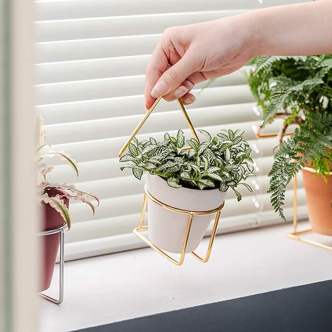 Yishang 2 inch White Small Terracotta Pots with Drainage Holes,Mini Clay Ceramic Pottery Planter,Cactus Flower Nursery Terra Cotta Pots, for Indoor/Outdoor Succulent Plants, Crafts(80 Pack)