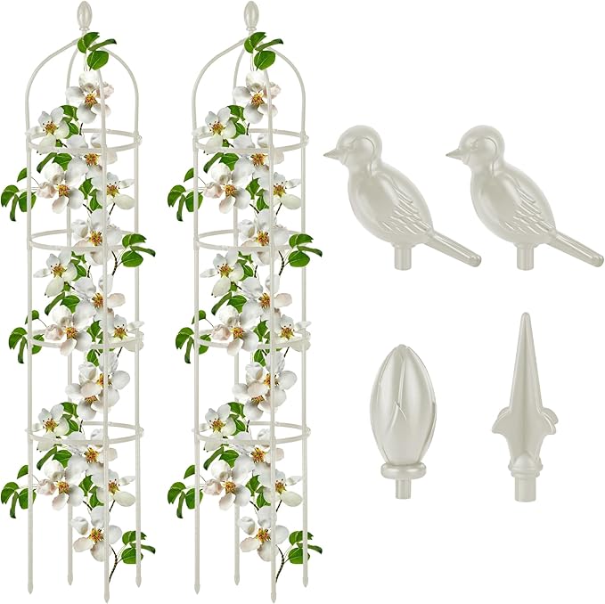2 Pcs Garden Obelisk Trellis for Climbing Plants Outdoor 6 Ft Rose Bush Round Trellis for Pots Rustproof Metal Plant Flower Trellises for Clematis Vine Jasmine Support Outdoor Indoor