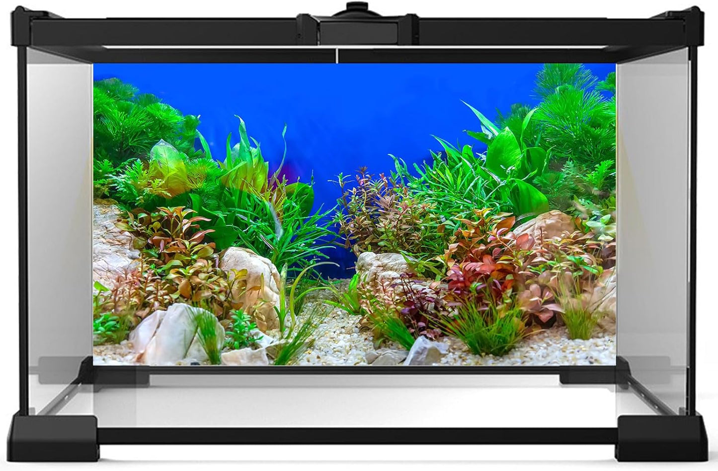Aquarium Background Green Aquatic Plant Stone River Bed and Lake Fish Tank Background Decor Underwater Grass Leaves with Pebble Aquarium Backdrop Perfect Fish Tank Decors Vinyl 24x16in