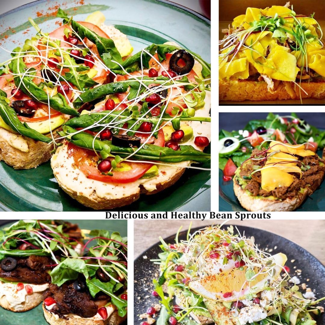 Organic Seed Sprouting Jar Kit – 2 × 32 oz Wide-Mouth Mason Jars with Stainless-Steel Sprouter Lids & Stand, Blackout Sleeves, Drain Tray – Grow Broccoli, Alfalfa & Bean Microgreens