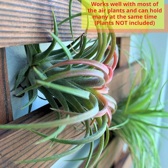 ShopLaLa Wall Planter - Wooden Hanging Planter for Indoor Plants, Plant Stand, Air Plant Succulent Holder, Vertical Garden. Large Wall Decor for Living Room, Room Decor for Teens, 90cm (35.4")