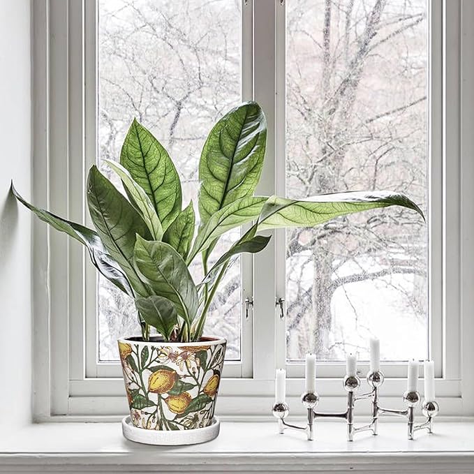 5.5 Inch Decorative Plant Pots, Round Ceramic Planters for Indoor Plants Pots with Drainage Hole Saucers, Lemon Green Leaves Ceramic Flower Pots Retro Planter Pot for Succulents Cactus Outdoor Garden