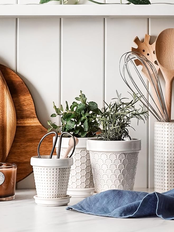 LE TAUCI Succulent Pots, Cute Indoor Plant Pot with Saucer, 4 Inch Mini Ceramic Flower Pots with Drainage, for Plant Lover or Mothers Day,Housewarming, Decorative Lovely Planter for Cactus,Set of 4