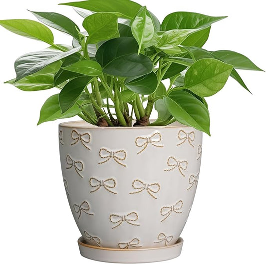 Ceramic Plant Pot 6 Inch - Ceramic Planter with Drainage Hole and Saucer Round Planter Flower Pot for Indoor Plants Outdoor Home Garden Office Decor White