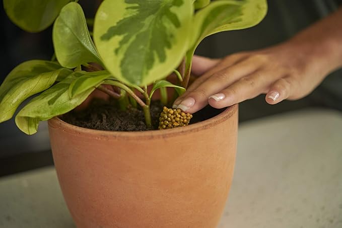 Osmocote PotShots: Premeasured House Plant Food, Feed for up to 6 Months, 25 Nuggets