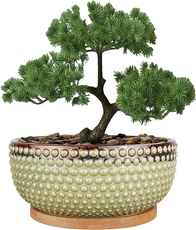 8 Inch Ceramic Succulent Shallow Planter Pot with Drainage Hole and Saucer Beaded Stoneware Planter for Indoor Plants Green