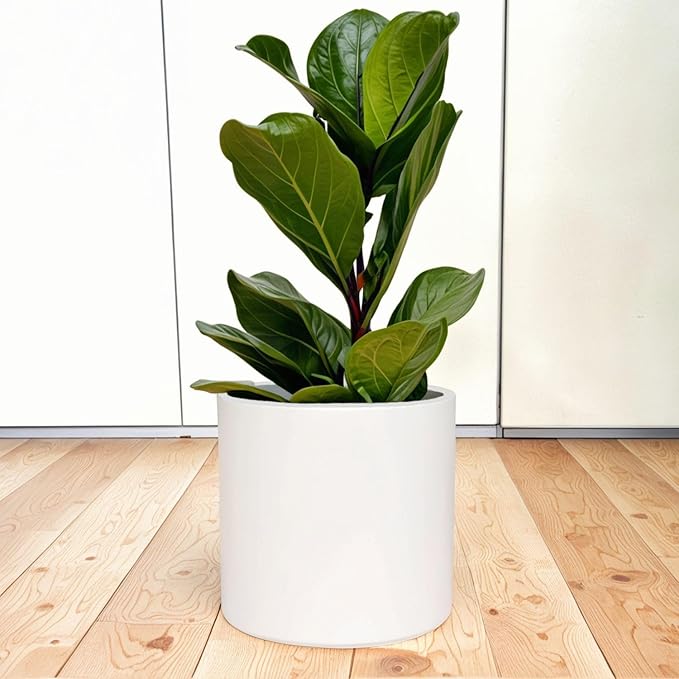 Fox & Fern Large 12 Inch Plant Pot with Hidden Saucer — Premium Lightweight Fiberstone Matte White Self Watering Planter with Seamless Saucer; Indoor & Outdoor Use; Weather Resistant & UV Resistant