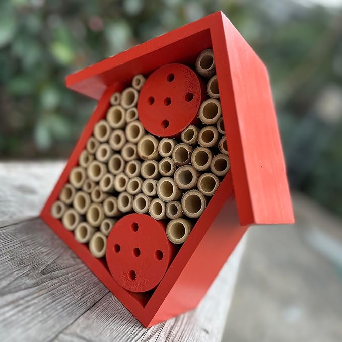 Mason Bee Houses Outdoor Wooden Bee Hotel for Garden and Yard Hand-Made Bamboo Bee Hive for Bees Butterflies and Ladybugs, Medium Size 8"x7.5"x5", Red