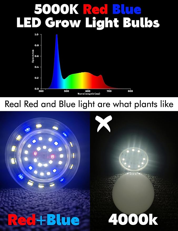Red Blue 5000K LED Grow Light Bulbs Full Spectrum A19 Bulb, E26 12W Sun Grow Plant Light Bulbs 100w Equivalent, Plant Growing Lamp Bulbs for Flowers, Seed Starting, Indoor Growing, Greenhouse, 6pack