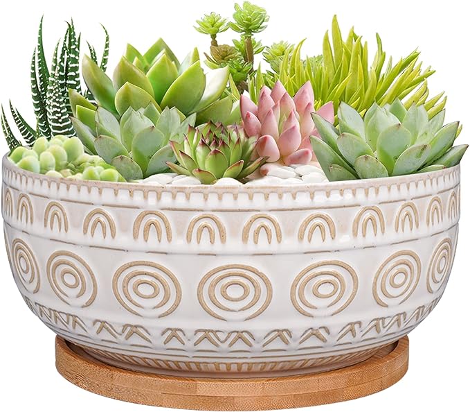 8 Inch Ceramic Succulent Planter Pot with Drainage Hole and Saucer Round Shallow Planter for Indoor Plants, White
