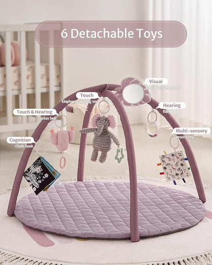 Blissful Diary Baby Play Gym Mat, Tummy Time Activity Mat with 6 Detachable Toys for Stage-Based Sensory & Motor Skill Development, Easy to Install & Clean, Baby Essentials Gift, Lavender Pink