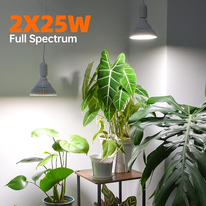 Hanging Grow Light for Indoor Plants, One Cord Double Head, 50W (25W X 2) Full Spectrum, White Led Plant Light Bulb with timer for Tall Plant, Pendant or Ceiling Installation, 16.4FT Power Cord