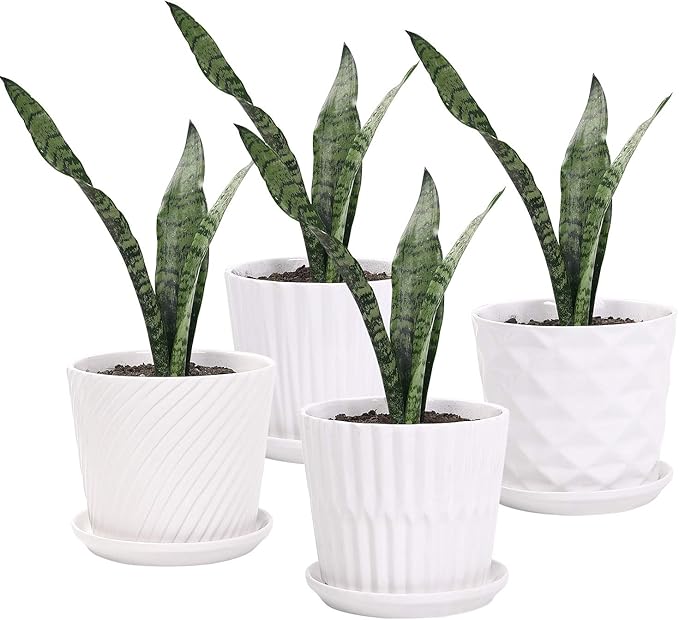 Plant Pots - 5.5 Inch Cylinder Ceramic Planters with Connected Saucer, Pots for Succuelnt and Little Snake Plants, Set of 4, White