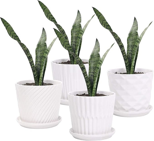 Plant Pots - 5.5 Inch Cylinder Ceramic Planters with Connected Saucer, Pots for Succuelnt and Little Snake Plants, Set of 4, White