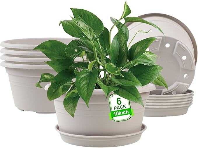 6 Pack 10 inch Plant Pot, Outdoor Pots for Plants with Drainage Hole & Tray Saucer, Round Plastic Plant Pot, Decoration Flower Pots for Indoor Plants Home Garden Outdoor Planters (White)