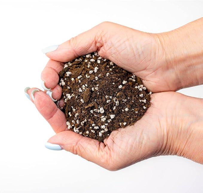 House Plant and Tropical Plant Potting Soil - Re-Potting Soil for All Types of Indoor House Plants - 10 Quart