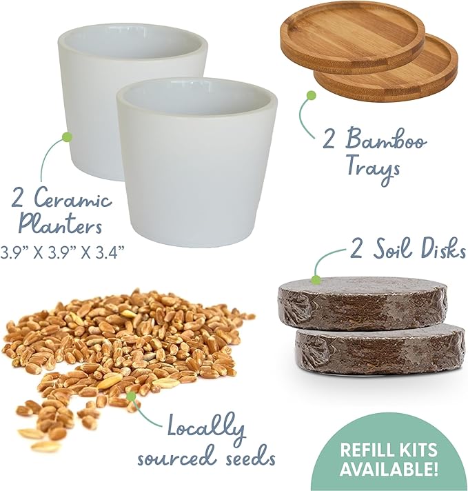 The Cat Ladies Cat Grass Growing kit with Organic Cat Grass Seed, Soil and Two Ceramic Planters with Bamboo Trays Natural Hairball Remedy