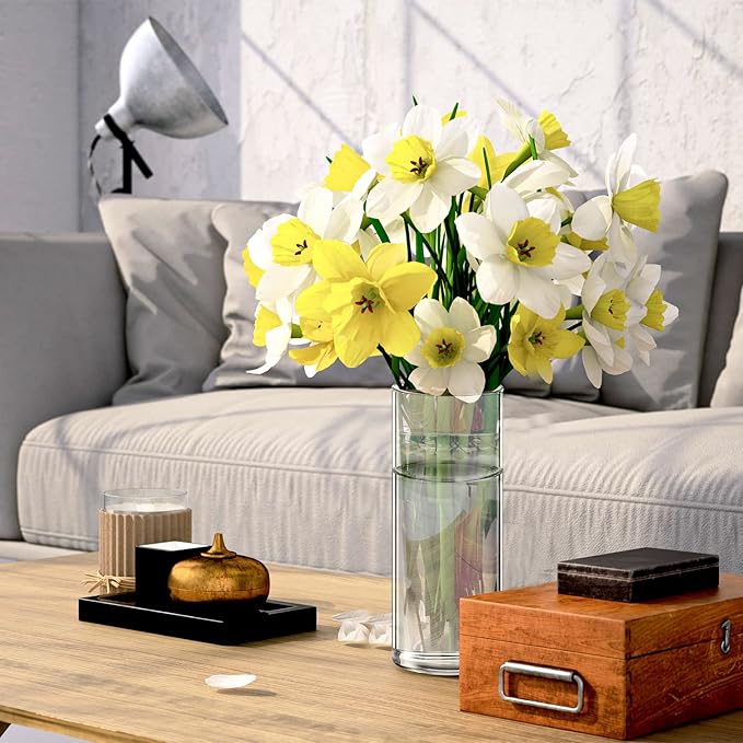 Baderke 6 Pcs Glass Wall Vase for Plants Indoor Hanging Propagation Planter Container Holder with Plastic Invisible Traceless Hangers Hydroponic Plant Succulent Garden Wedding Decor