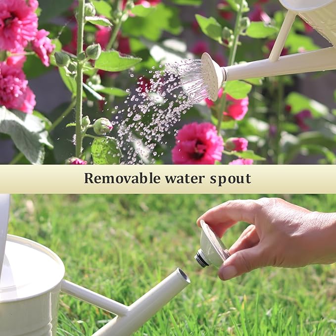 Watering Can for Outdoor Plants and Indoor Plants,1 Gallon Metal Watering Can for Garden Flower,Galvanized Steel Metal Water Can Watering Pot with Sprinkler Head