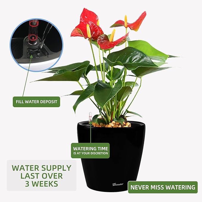 Dexceder 18x17 Self Watering Planter with Wheels Indoor Outdoor, Inner Pot Design, Thickened Large Floor Standing Flower Plant Pot with Water Level Indicator (Black Matte)